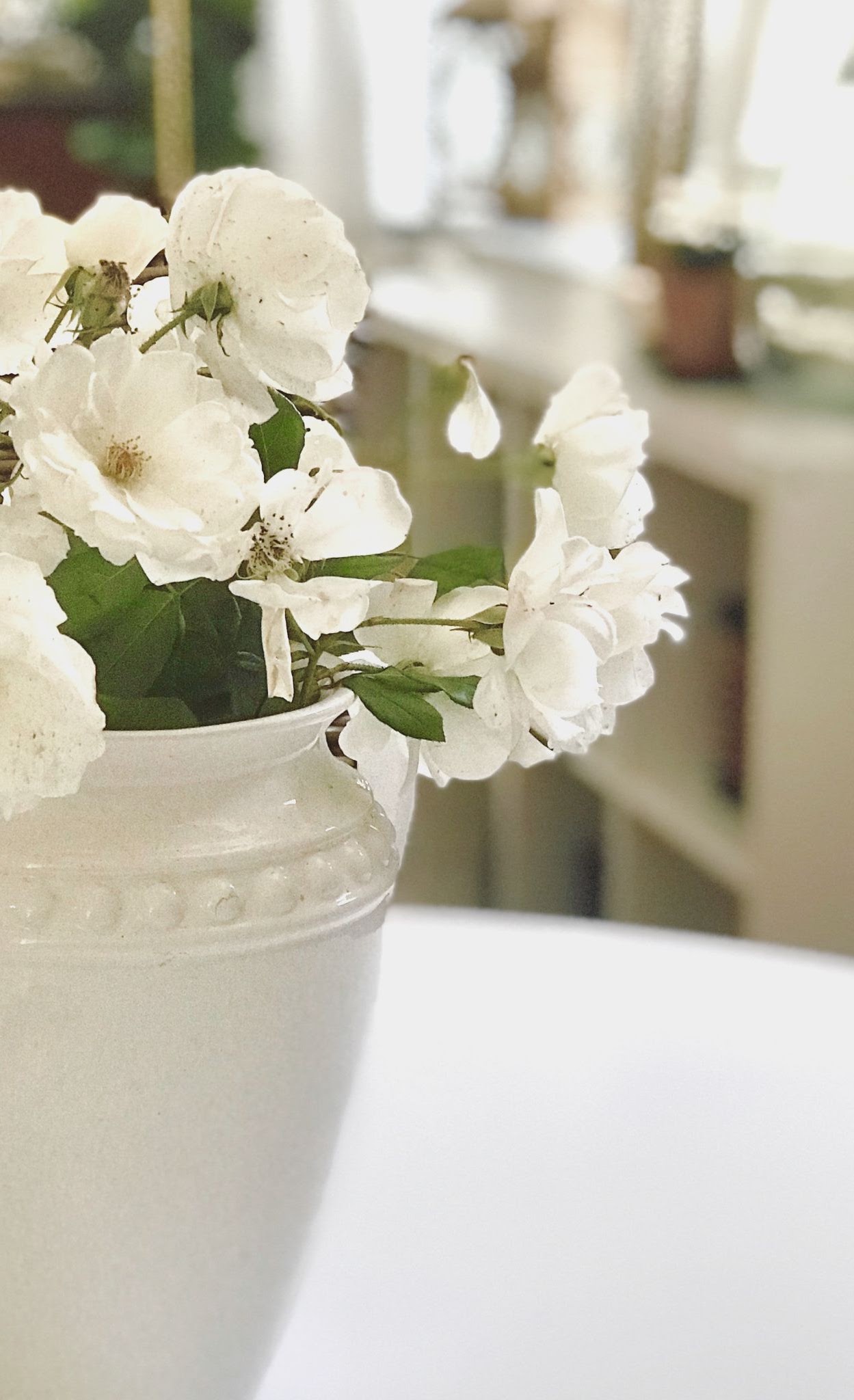 White flowers in a ceramic vase